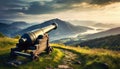 historic cannon in nature on a hill