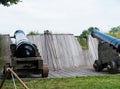 Historic canon in Dutch town