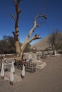 Historic Cemetery in the Atacama Desert Royalty Free Stock Photo