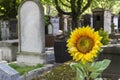 Historic cemetery in Paris, France