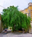 Mazara del vallo sicily italy