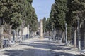 Historic center, promenade with roman column in Tarragona,Spain.