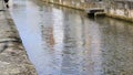 Historic channel of the river Lauter in Wissembourg