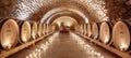 Historic chateau wine cellar timeless elegance for sophisticated heritage wine ad