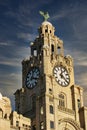 Historic clock tower against a blue sky with clouds, architectural detail, and a statue on top in Liverpool, UK Royalty Free Stock Photo