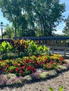 Huckleberry Railroad at Crossroads Village in Flint, Michigan