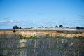 Historic Cornwall Pit in Greenbushes Mine