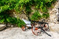 Historic cultivator in front of plant covered old stone wall