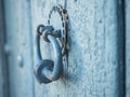 Historic door knocker