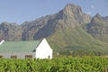 Historic Dutch Cape Architecture and Grape vines at Stellenbosch wine region, outside of Cape Town, South Africa Royalty Free Stock Photo