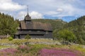 The historic Eidsborg Stave Church in summer in Tokke, Vestfold and Telemark county, Norway Royalty Free Stock Photo