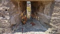 An historic Embrasure, loophole in an old wall of an fortress. Rhodes. Greece. View from the inside. Dry flower in a loophole in a Royalty Free Stock Photo