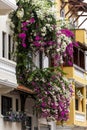 The historic facades at old town known as Casco Viejo in Panama City