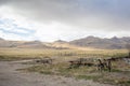 Scenic Antelope Island Farm Stead