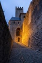 Historic Fortified Medieval City of Carcassonne, Aude, Occitanie, South France. Unesco World Heritage Site. Detail ilumination Royalty Free Stock Photo