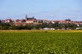 historic german city of fritzlar in the back