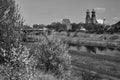 Historic, gothic buildings on the Warta River and white flowers in bushes