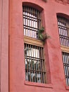 Windows of Historic Jail in St. Augustine