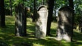 The historic Jewish cemetery in ÃÂ»ory
