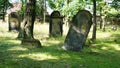 Historic Jewish cemetery in Poland in ÃÂ»ory