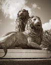 Historic Lion Sculpture in Sepia