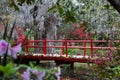 Magnolia Plantations, Charleston, South Carolina