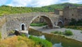 Historic medieval bridge at Lagrasse Languedoc