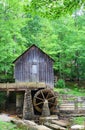 A historic mill in a forest with green leafs in late spring.