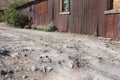 Historic mining town, Oatman Arizona, urban street