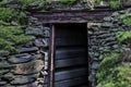 Historic mining tunnel in a forest