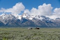 Historic Mormon Row Farm Building in Grand Teton National Park