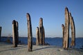 Historic mystic poles standing on the rocks near the Baltic Sea