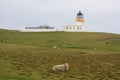 Historic lighthouse in sheep field