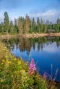 Historic Oderteich water reservoir near Sankt Andreasberg, component of the Upper Harz Water Regale, UNESCO World Heritage Site Royalty Free Stock Photo