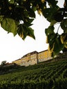 Historic old colorful building vineyard in town Meersburg Bodensee Lake Constance Baden-Wuerttemberg Germany Europe