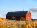 Historic old red barn on hilltop during Autumn season Royalty Free Stock Photo