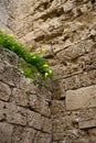 Historic Othello Castle inside