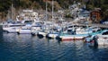 Fishing Port on Japanese Coastline