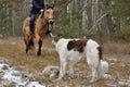 Reconstruction of hunting with borzoi dogs Royalty Free Stock Photo