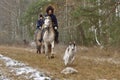 Historic reconstruction of hunting with borzoi dogs Royalty Free Stock Photo