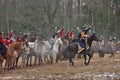 Historic reconstruction of napoleonic war