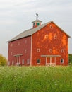 historic red Dutch barn from American Revolutionary War days and field of Queen Anne\'s Lace