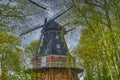 Historic and restored windmill in Berlin, Germany, between birch trees Royalty Free Stock Photo
