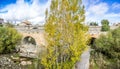 Historic roman bridge in Avila, Castilla y Leon, Spain Royalty Free Stock Photo
