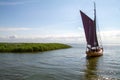 Historic sailboat with a brown sea sail leaves the shore and drives past the reeds to the open inland sea