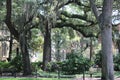 Historic Savannah Georgia with Weeping Willow trees in a park on a sunny spring day.