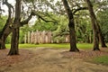 Historic Sheldon Church ruins in Charleston, South Carolina Royalty Free Stock Photo