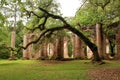 Historic Sheldon Church ruins in Charleston, South Carolina Royalty Free Stock Photo