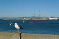 Historic ships docked at Hyde Street Pier, San Francisco Maritime National Historic Park Royalty Free Stock Photo