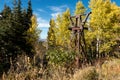 Historic ski lift tower amid Autumn leaves